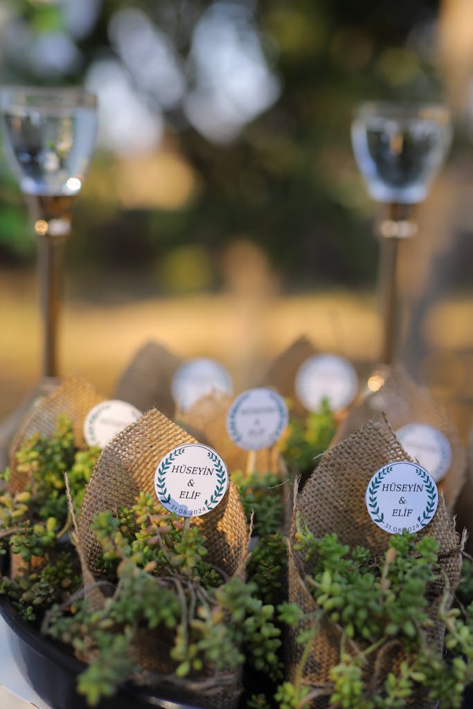 Mini pots de fleurs en jute : le Studio Vauban photographie chaque attention sur le secteur de Jeanménil.